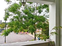 Stratford Court (D16), Condominium #615151361